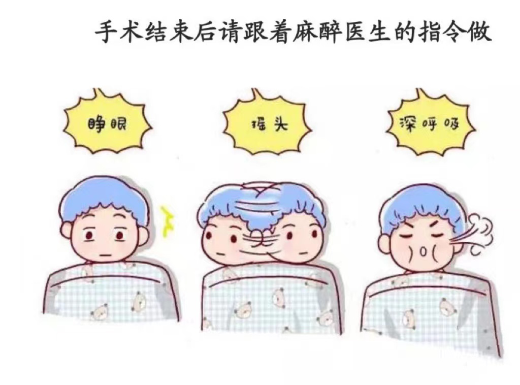 为什么使用手术对接车【护理科普】护理健康之——手术室术前健康宣教_https://www.jmylbn.com_新闻资讯_第31张