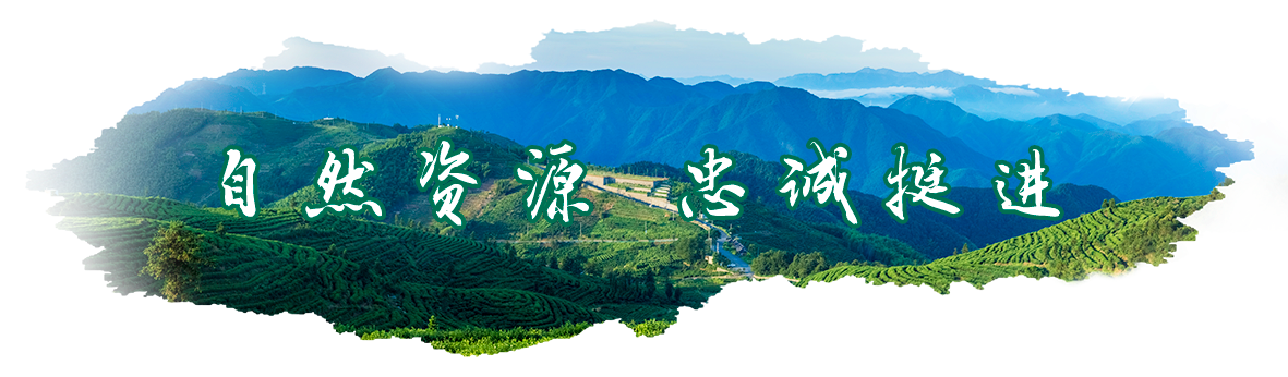 丽水市农村土地管理法