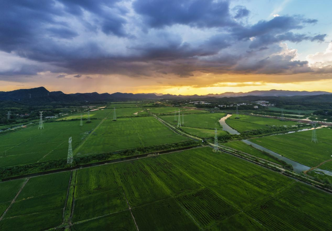 新时代土地综合整治的实现路径 - 广东省国土空间生态修复协会