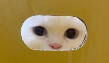 和平精英物理外设辅助自动压枪_和平精英压枪物理外挂_和平精英物理压枪软件