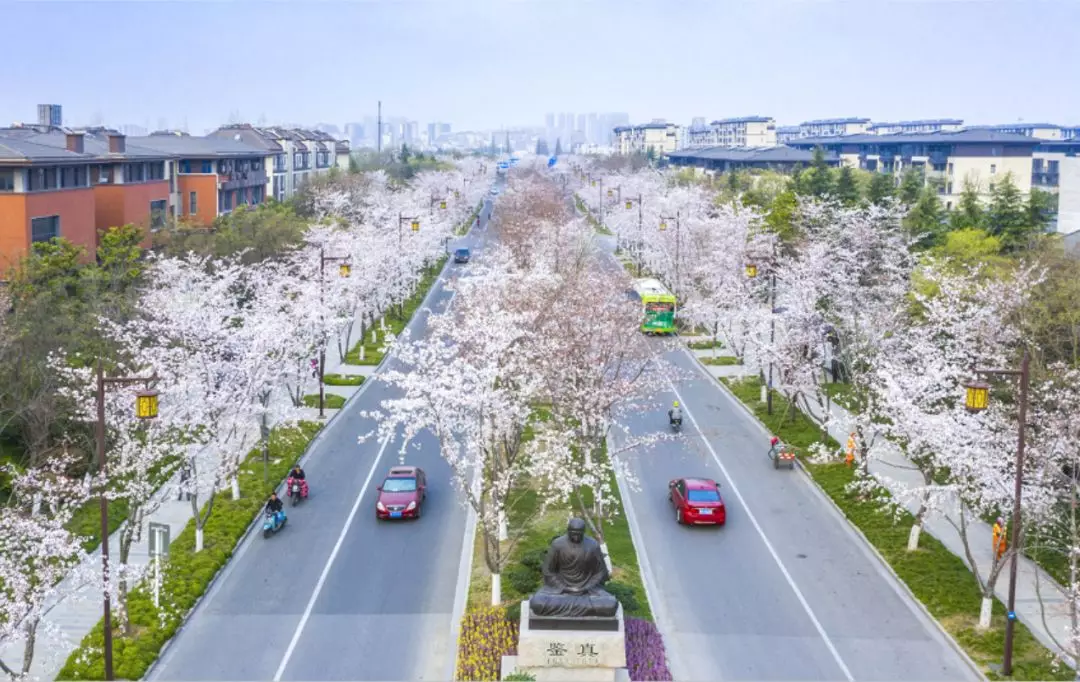 3月最佳旅行地 | 7元嗦粉、5元坐船、0元看花海，中国有的是好看又好吃的地方！