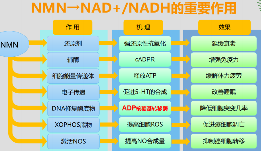 李佳琪同款已经不稀奇了，你试试李嘉诚同款？(图15)