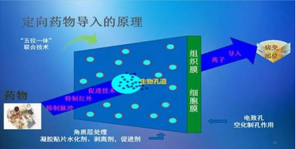 中频药物导入怎么用【中医特色疗法】中药离子导入技术_https://www.jmylbn.com_新闻资讯_第3张