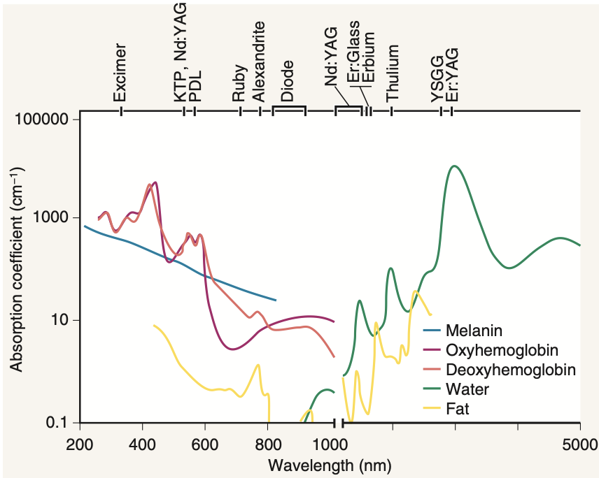 医用脱毛剂是什么腿毛比头发多，怎么办在线等！｜协和八_https://www.jmylbn.com_新闻资讯_第5张
