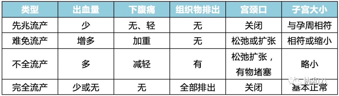 當你不再長大 | 朝花夕拾 · 協和八 萌寵 第3張