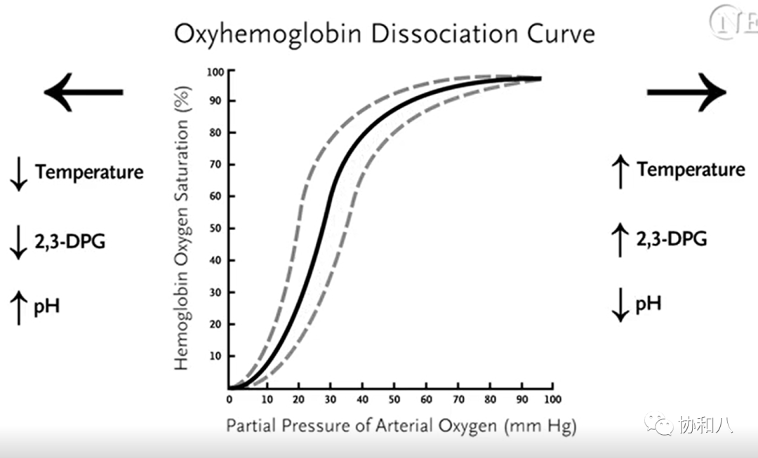 吸氧怎么产生的氧气关于吸氧的这些事，你居然不知道？_https://www.jmylbn.com_新闻资讯_第4张