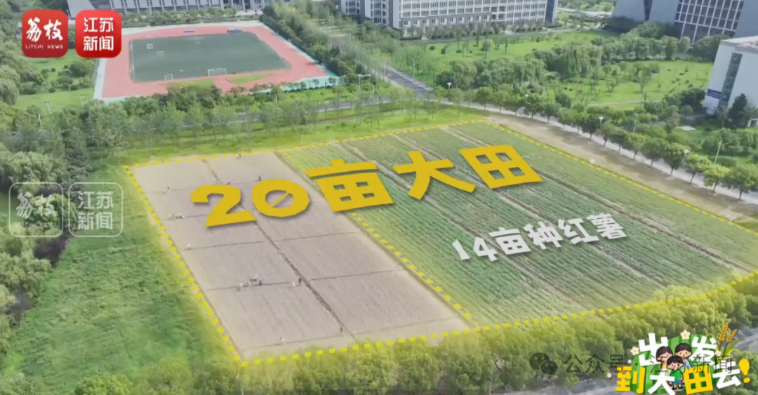 公路旁的草地上

描述已自动生成