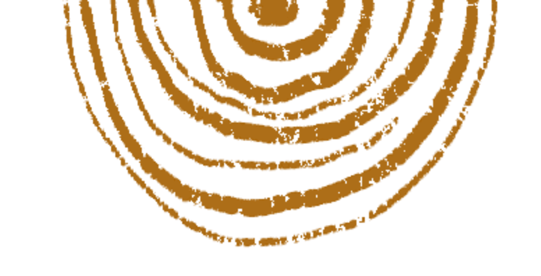 熏蒸什么档位治什么督脉熏蒸：春季疏肝美颜的“一键重启”_https://www.jmylbn.com_新闻资讯_第5张