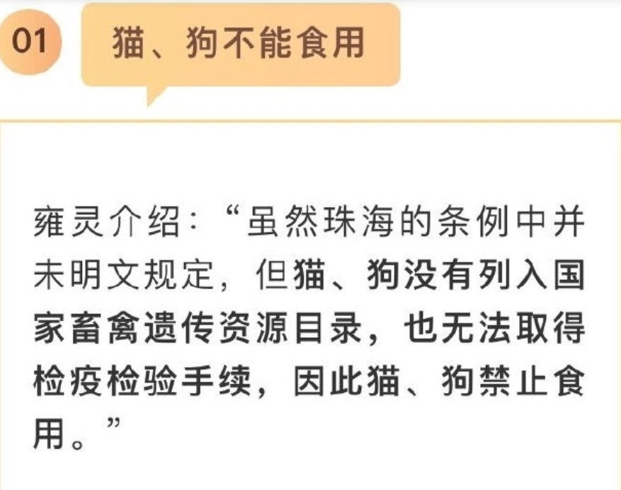 繼深圳以後，第二個禁食貓狗肉的城市出爐，為珠海點讚！ 寵物 第2張