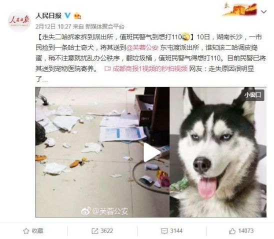 盗窃|比段子还精彩……盘点2019年度长沙奇葩警情