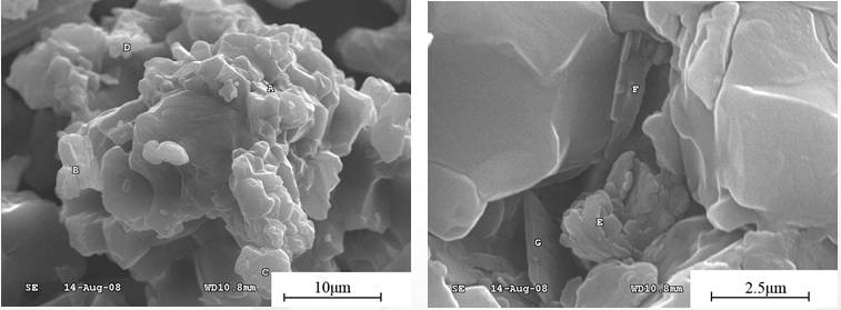 擦洗后粉石英sem分析图
