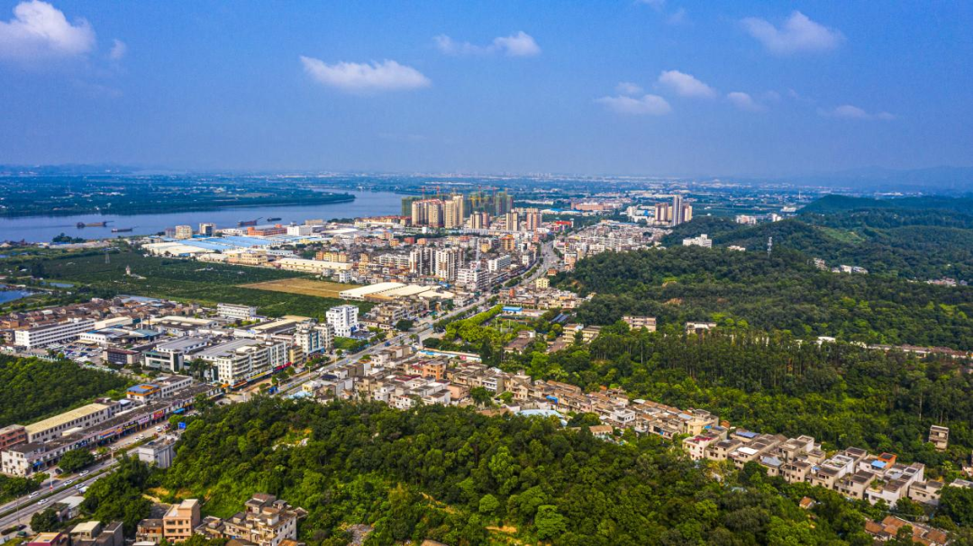 江门市新会区大泽镇人民政府政府信息公开