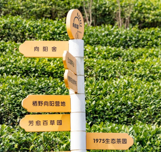 c1a7921f20df67578e636bcb73706336.png