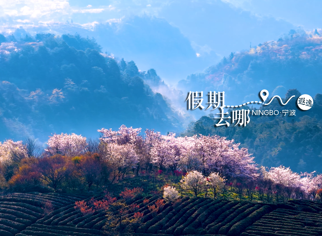 ScreenShot_2026-04-03_181245_497.png