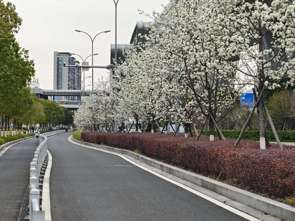 镇海风华路.png