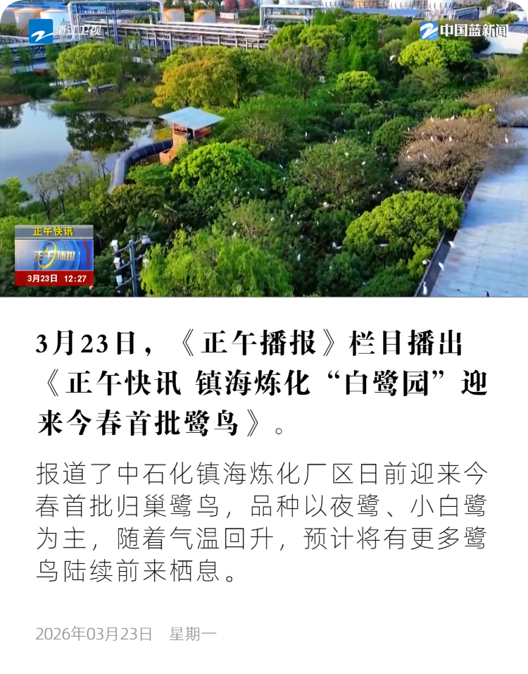 浙江卫视8.png