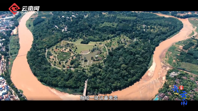 网聚COP15·《我家云南》系列视频①丨带你走进植物王国