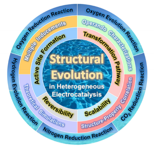 顶刊日报丨金荣超 彭慧胜 杨勇 唐智勇 王心晨 原长洲 丁彬 聂广军等成果速递 纳米人 微信公众号文章阅读 Wemp