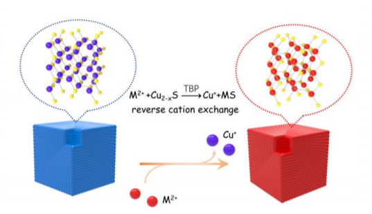 顶刊日报丨金荣超 彭慧胜 杨勇 唐智勇 王心晨 原长洲 丁彬 聂广军等成果速递 纳米人 微信公众号文章阅读 Wemp