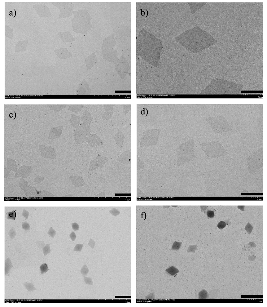 南科大何凤教授课题组在嵌段共聚物多级超分子自组装领域取得重要研究进展的图3