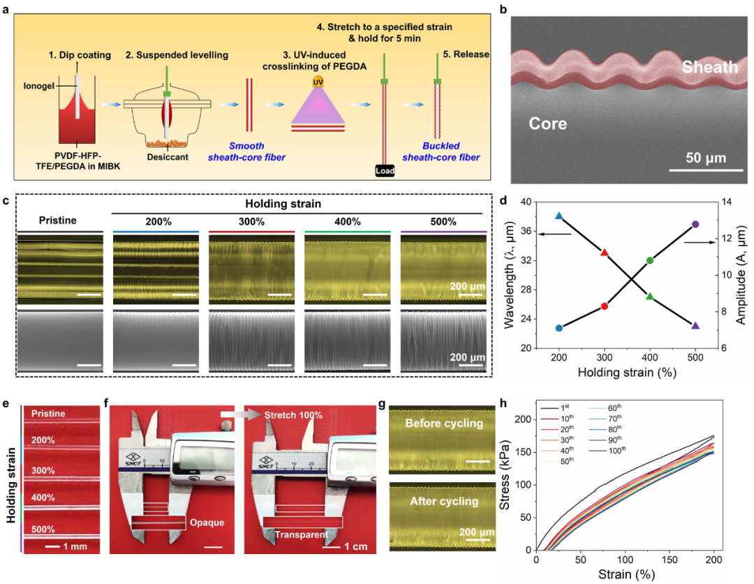 东华大学武培怡/孙胜童团队《Mater. Horiz.》：受指纹结构启发构筑超高应变感知褶皱型离子导电芯鞘纤维的图2