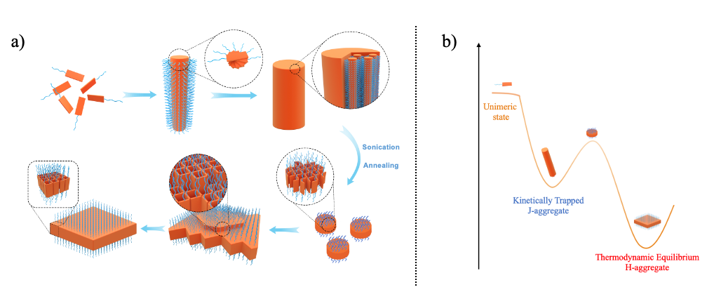 南科大何凤教授课题组在嵌段共聚物多级超分子自组装领域取得重要研究进展的图2