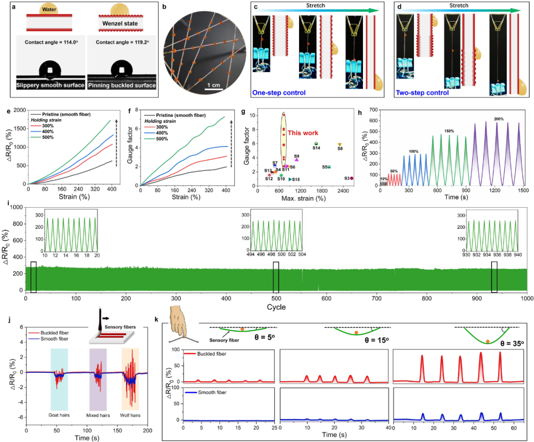 东华大学武培怡/孙胜童团队《Mater. Horiz.》：受指纹结构启发构筑超高应变感知褶皱型离子导电芯鞘纤维的图4