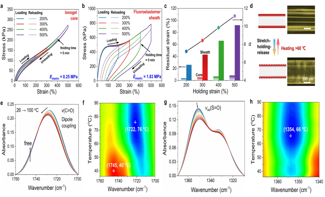 东华大学武培怡/孙胜童团队《Mater. Horiz.》：受指纹结构启发构筑超高应变感知褶皱型离子导电芯鞘纤维的图3
