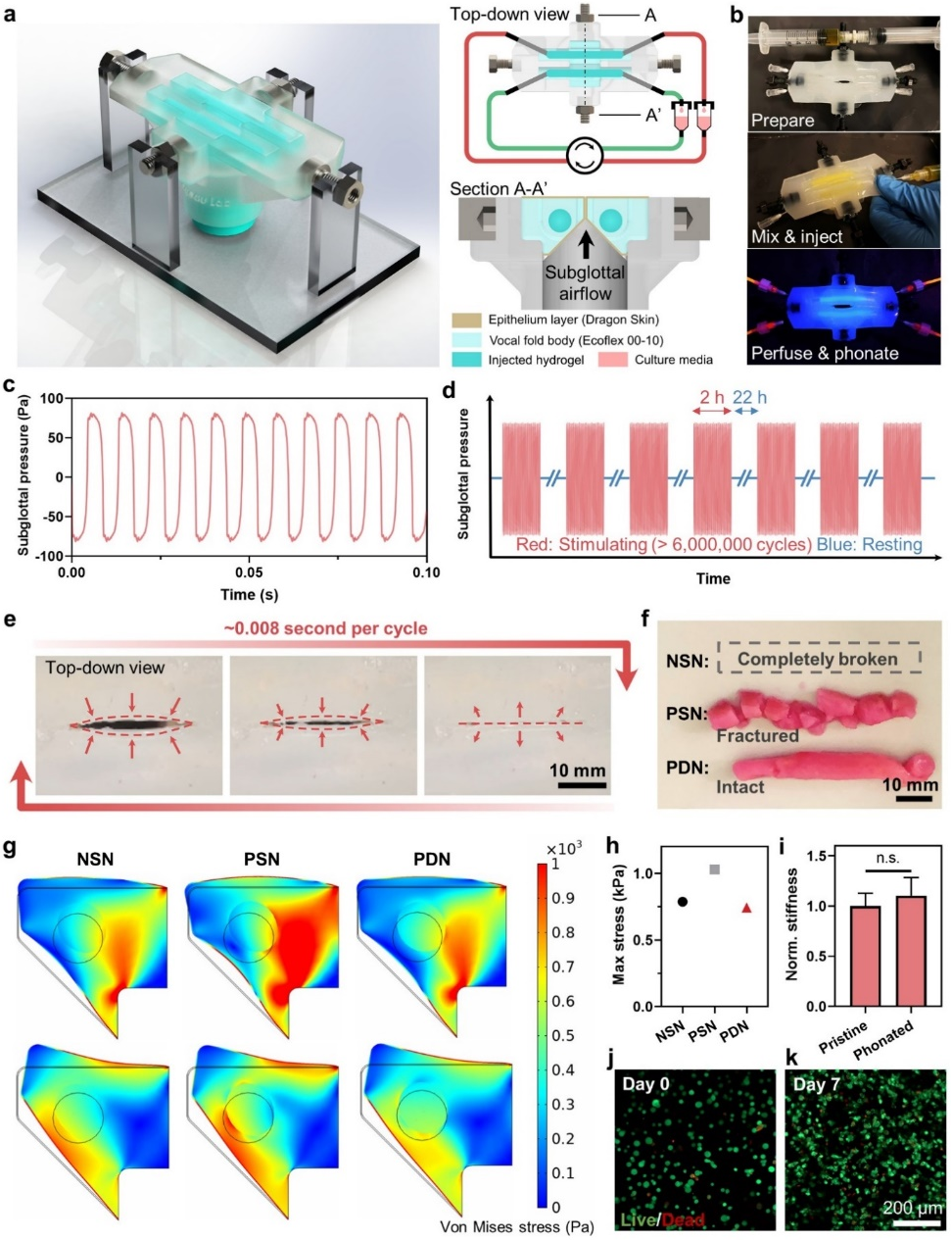 麥吉爾大學李劍宇和Luc Mongeau團隊Adv. Sci.：能承受百萬次高頻力學加載、細胞兼容、可注射的多孔雙網絡水凝膠的圖5