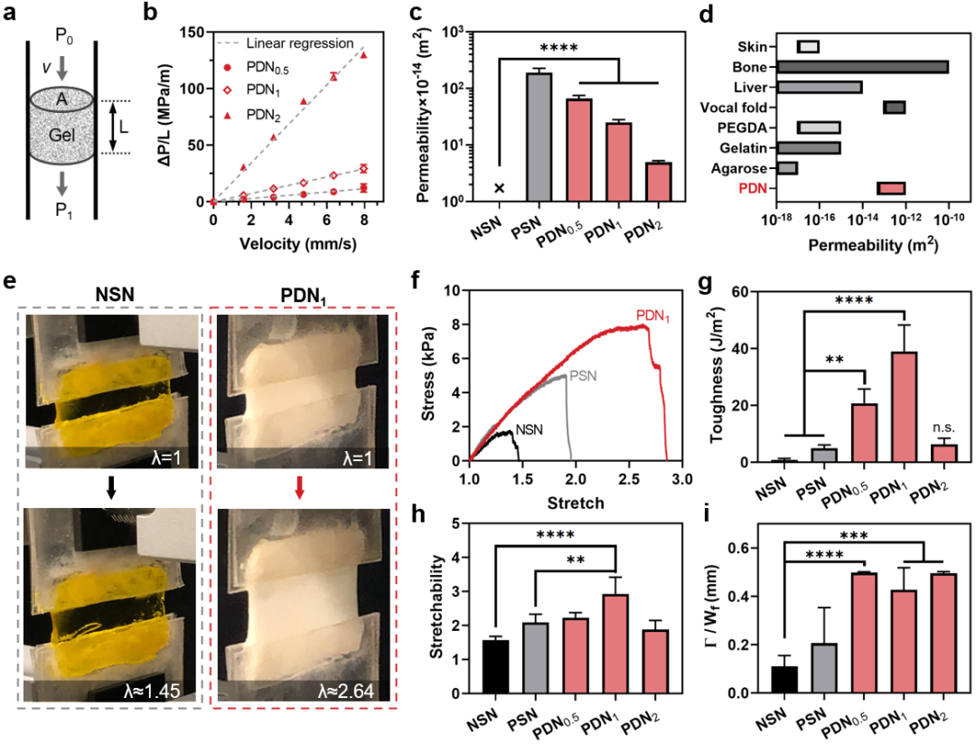 麥吉爾大學李劍宇和Luc Mongeau團隊Adv. Sci.：能承受百萬次高頻力學加載、細胞兼容、可注射的多孔雙網絡水凝膠的圖2