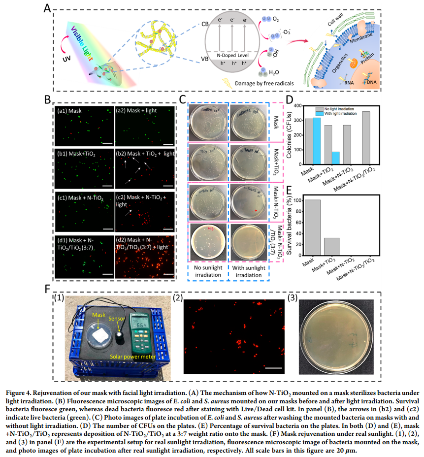 美国东北大学祝红丽教授课题组ACS Nano：光催化可再生的自清洁、可重复使用、可生物降解的抗菌防疫口罩的图4