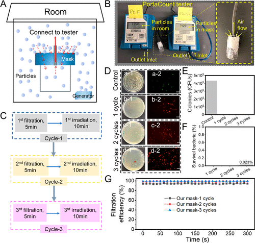 美国东北大学祝红丽教授课题组ACS Nano：光催化可再生的自清洁、可重复使用、可生物降解的抗菌防疫口罩的图6