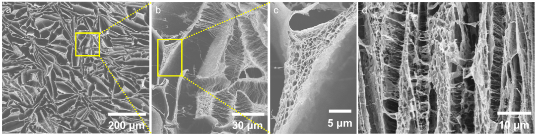 浙江大學(xué)王樹榮教授團隊JMCA：一種新型具有Janus特性的生物質(zhì)基復(fù)合氣凝膠，用作獨立式太陽能界面蒸發(fā)器的圖2