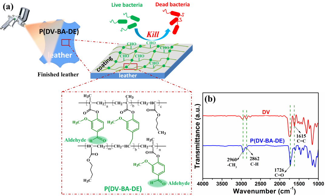 陕科大马建中教授《Green Chem.》:开发抗菌性的水性香草醛-丁香酚-丙烯酸酯细乳液，作为石油基苯丙乳液的新一代绿色替代品的图4