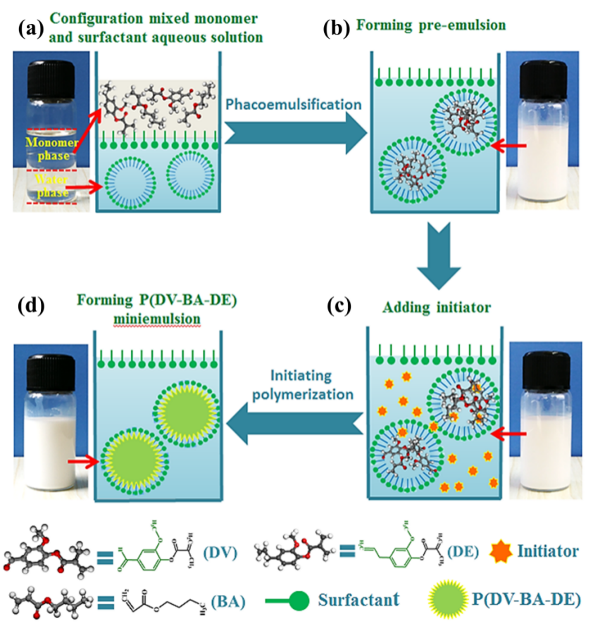 陕科大马建中教授《Green Chem.》:开发抗菌性的水性香草醛-丁香酚-丙烯酸酯细乳液，作为石油基苯丙乳液的新一代绿色替代品的图3