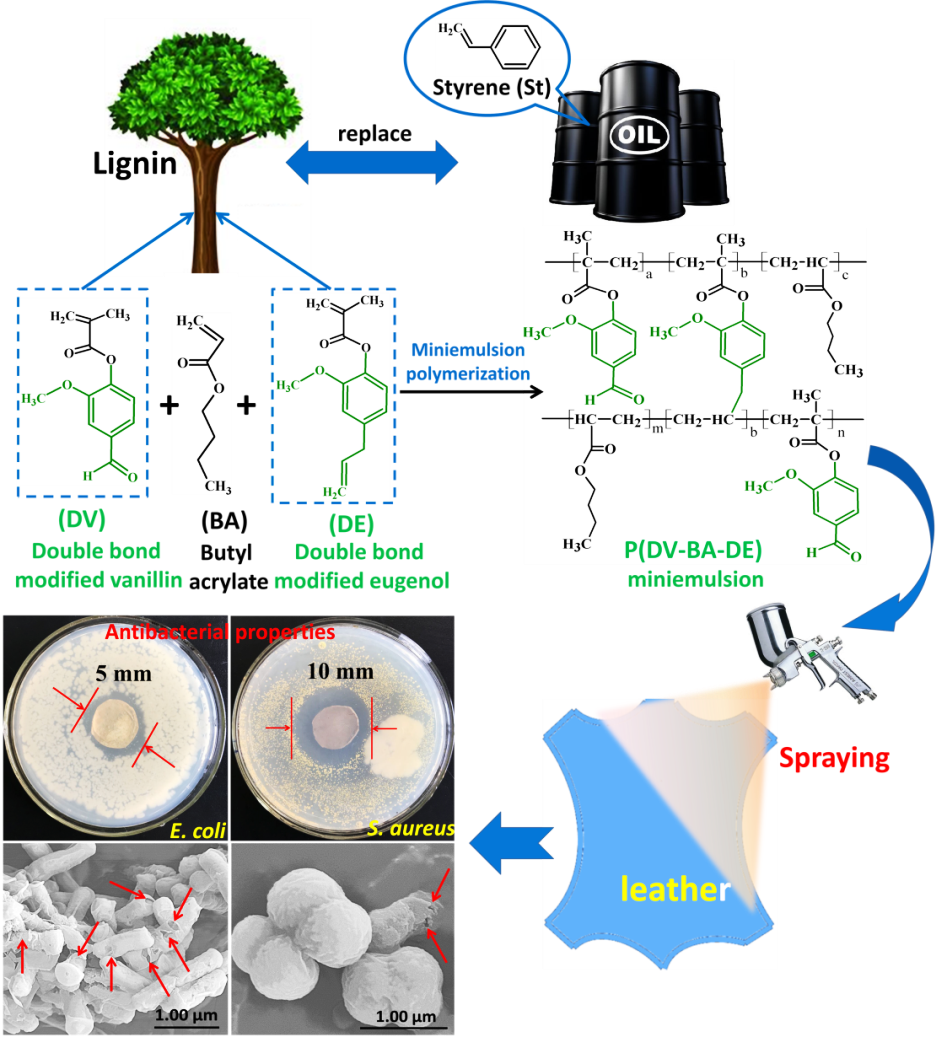 陕科大马建中教授《Green Chem.》:开发抗菌性的水性香草醛-丁香酚-丙烯酸酯细乳液，作为石油基苯丙乳液的新一代绿色替代品的图2
