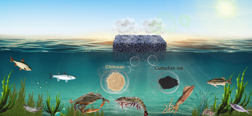 美國東北大學鄭義教授課題組JMCA：在基于海洋生物材料的水凝膠太陽能蒸發器上取得進展的圖1