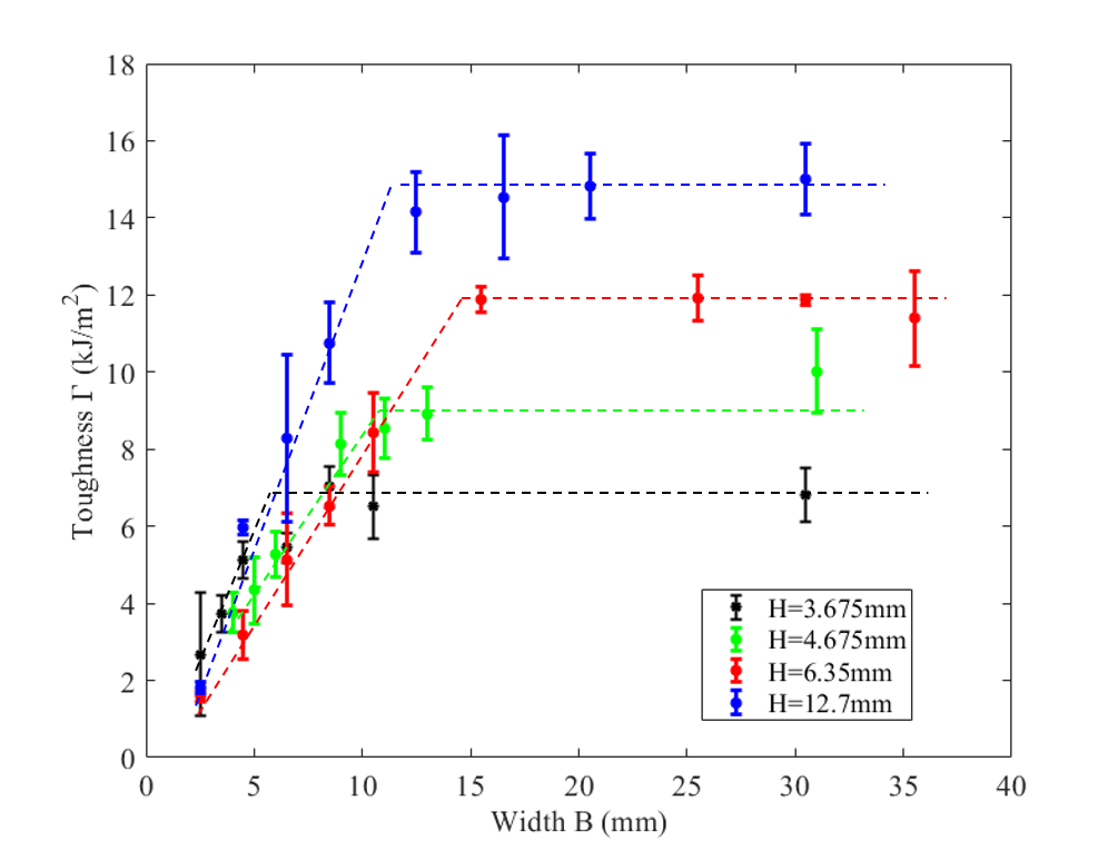 哈佛大学锁志刚院士课题组：宽度和厚度依赖的软材料断裂韧性的图4