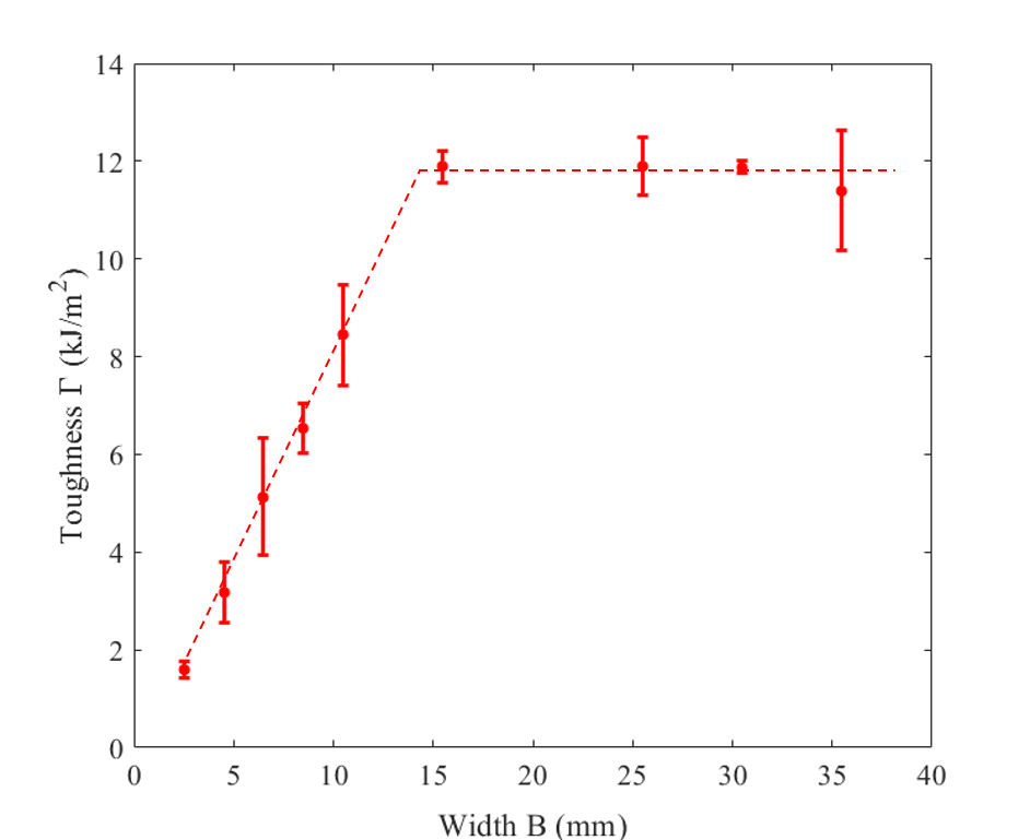 哈佛大学锁志刚院士课题组：宽度和厚度依赖的软材料断裂韧性的图2