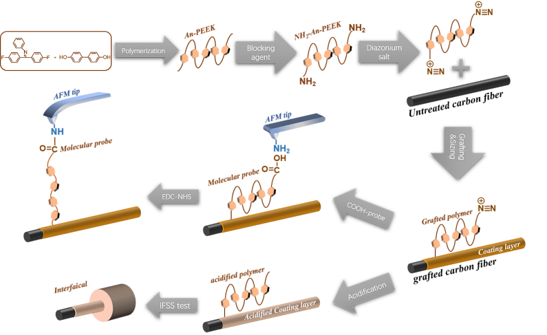 吉大王贵宾教授 CSTE：碳纤维表面电化学直接接枝大分子结晶性聚芳醚酮改善聚醚醚酮/碳纤维复材界面性能的图1