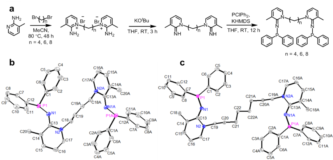 吉林大学张越涛教授课题组《Angew》：一步法合成木质素基耐高温防紫外三嵌段热塑性弹性体的图2