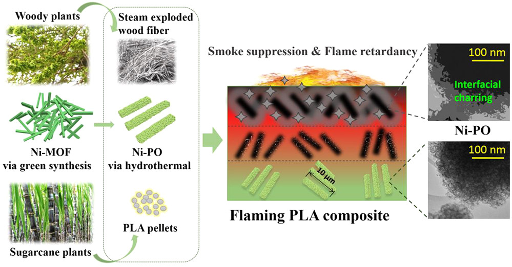 华南理工大学张水洞教授团队：催化氧化制备羧基化多糖成炭剂及环氧树脂超高膨胀炭层的机理的图2