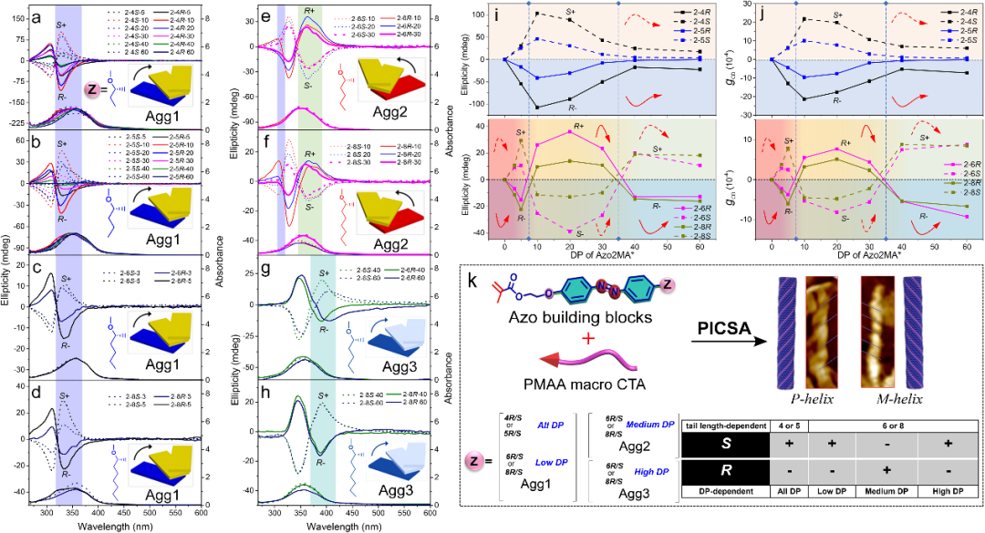 苏州大学张伟教授团队Angew：调控双相液晶聚合物的多重手性翻转的图2