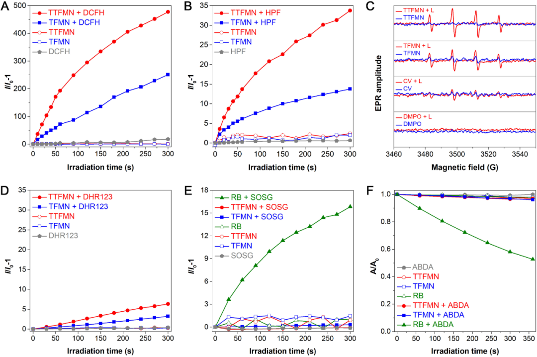 唐本忠院士/王东副教授Adv. Sci. ：高效I型AIE光敏剂用于肿瘤细胞核靶向光动力治疗的图2