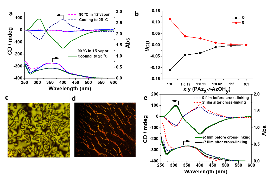 苏州大学张伟教授团队Angew：非手性聚合物体系中超分子手性的传递、放大、存储以及手性自修复的图2