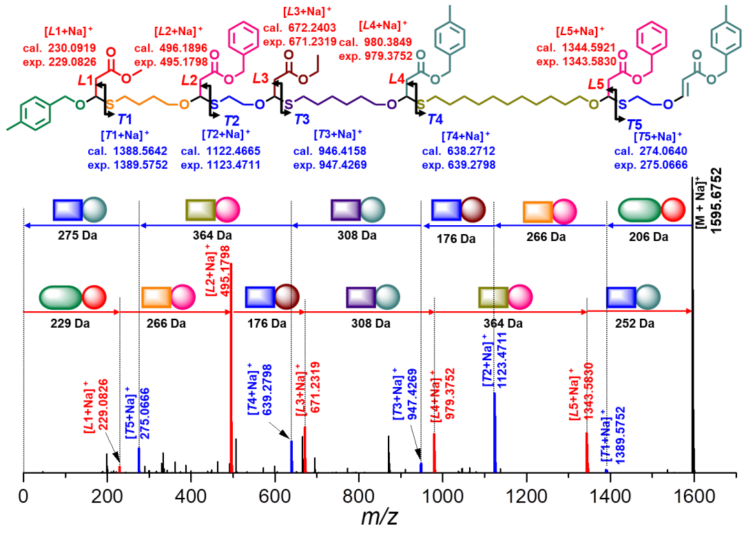 华工唐本忠院士团队秦安军教授等 JACS封面文章：首次结合“羟基-炔”和“巯基-烯”点击化学制备序列精确大分子用于高密度信息存储的图2