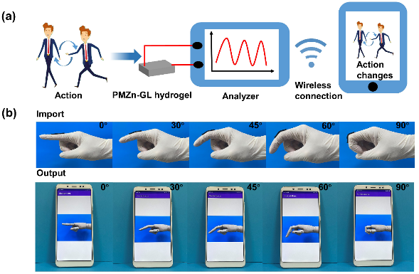吉大林权教授课题组AFM：仿肌肉结构且具有各向异性的MXene导电水凝胶的制备及在生物传感器方面应用的图3
