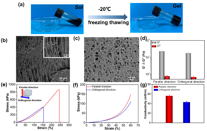 吉大林权教授课题组AFM：仿肌肉结构且具有各向异性的MXene导电水凝胶的制备及在生物传感器方面应用的图2