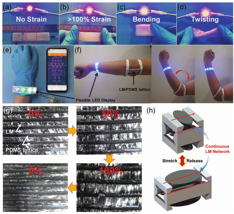 江南大学刘禹教授团队AFM：双材料 3D 打印技术实现液态金属/弹性体网格导电复合材料的有序组装的图3