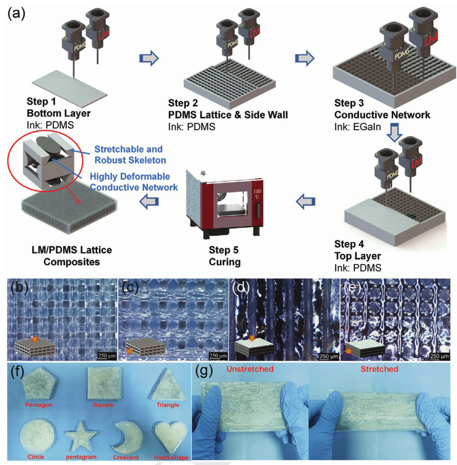 江南大学刘禹教授团队AFM：双材料 3D 打印技术实现液态金属/弹性体网格导电复合材料的有序组装的图1